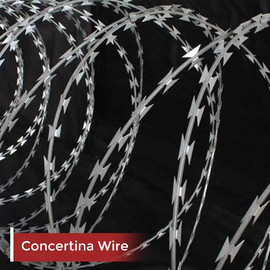 Concertina_Wire